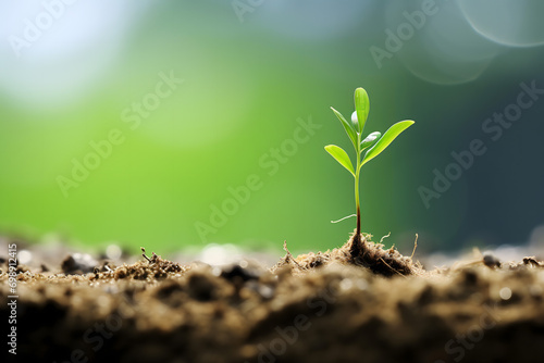 renewable energy light bulb with green energy, Earth Day or environment protection Hands protect forests that grow on the ground and help save the world, solar panels photo