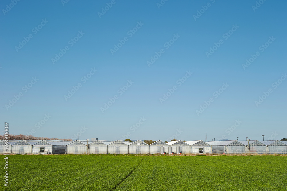greenhouse in the countryside greenhouse in the countryside