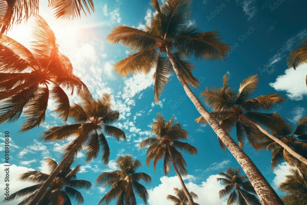 Photo of coconut trees on the beach