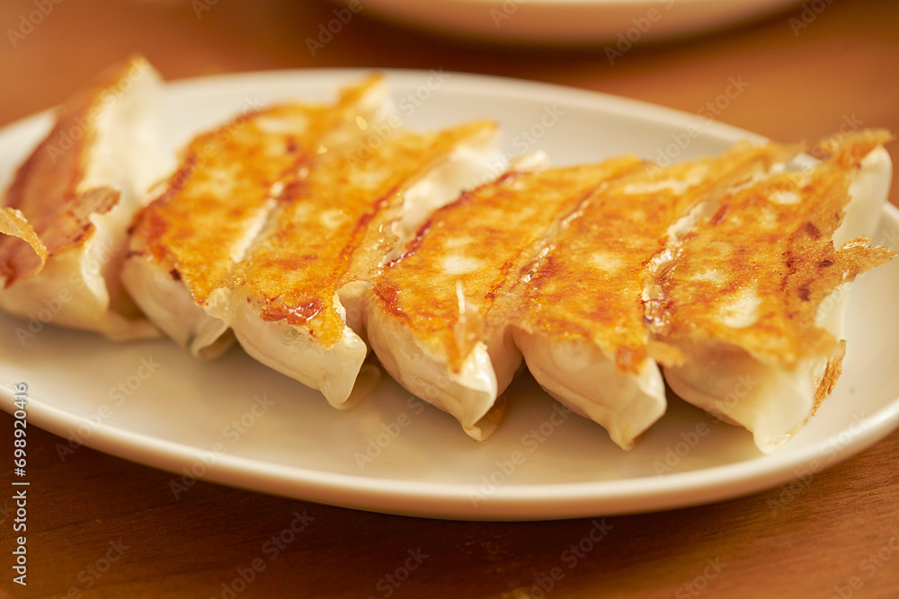 fried dumplings on a plate fried dumplings on a plate