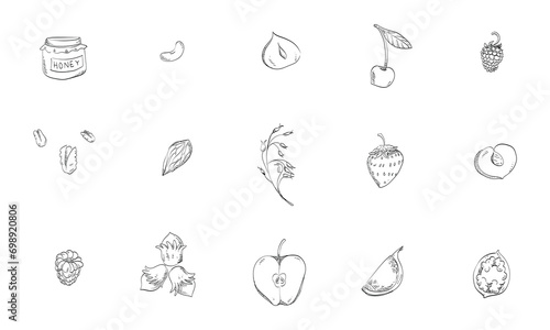 fruit and peanut handdrawn collection