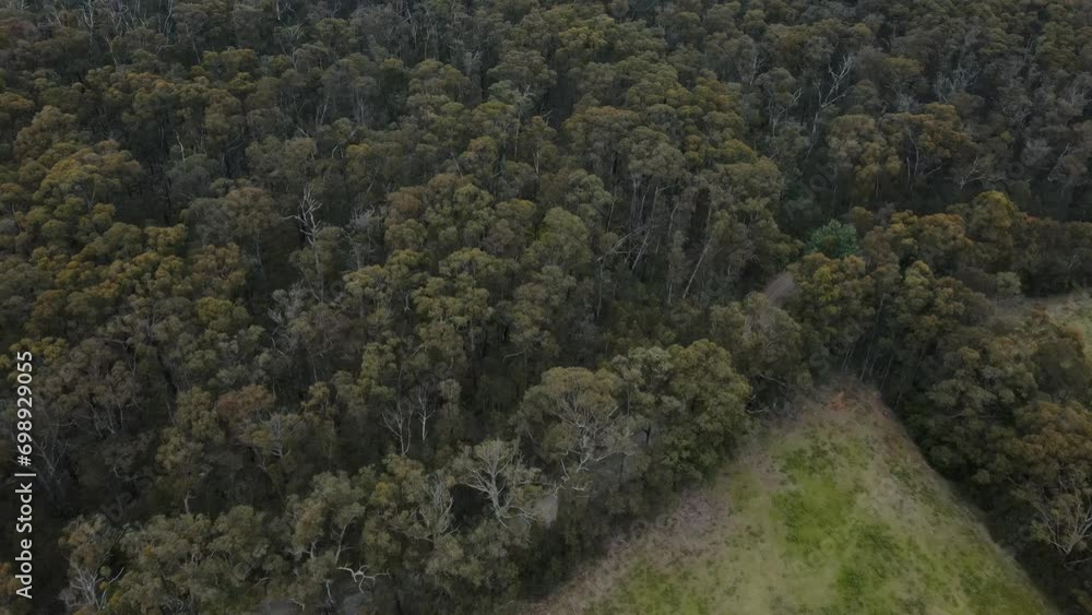 Drone aerial slow fall over trees and mountains in Australia on cloudy day Drone aerial slow fall over trees and mountains in Australia on cloudy day