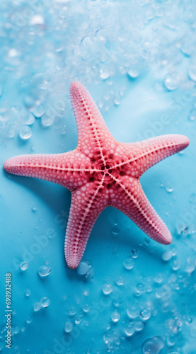 Red starfish on the beach  blue background.