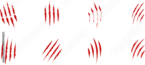 Animal Claw scratches icon. Claws silhouette, vector