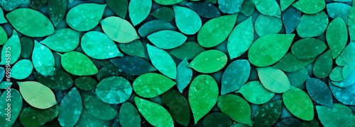 variety of green leaves with a circular pattern overlay, creating a textured mosaic of nature in shades of green
