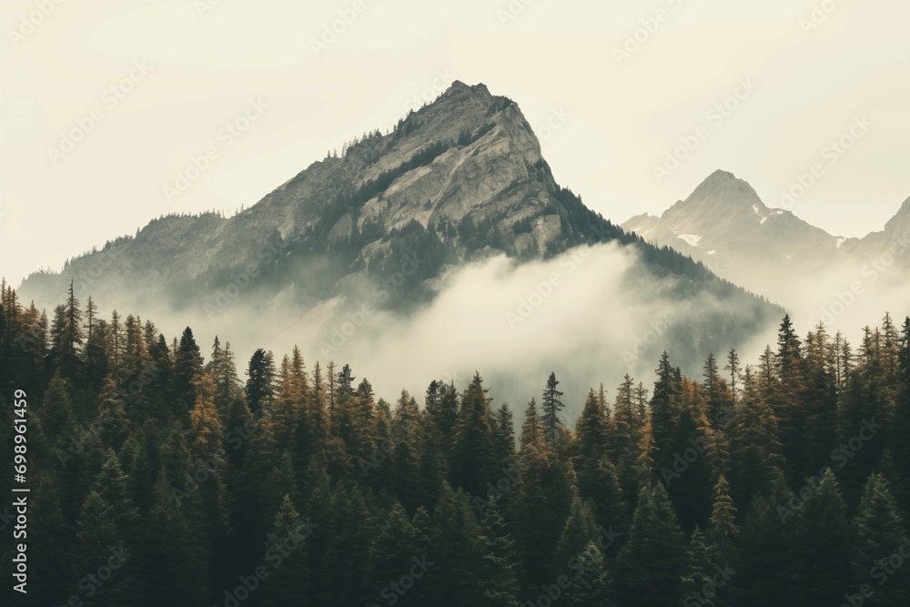 mountains in the fog surrounded by trees mountains in the fog surrounded by trees