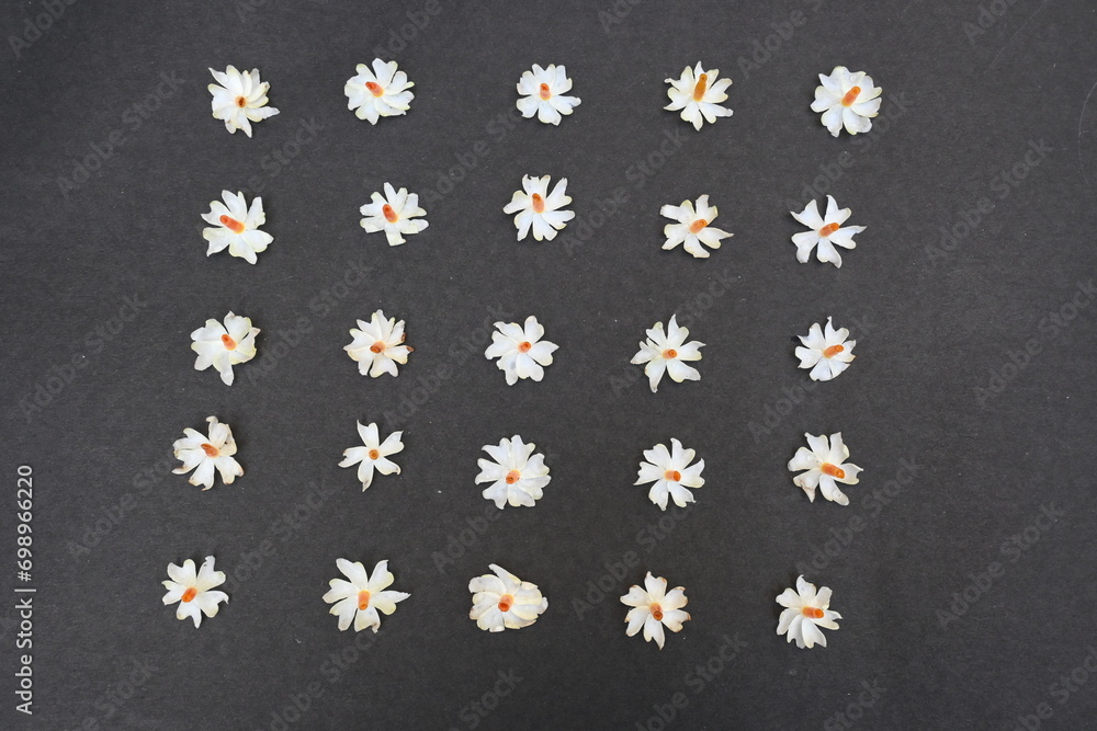 Nyctanthes arbor tristis flower. It's other names night blooming jasmine, tree of sorrow flower