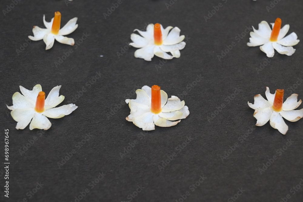 Nyctanthes arbor tristis flower. It's other names night blooming