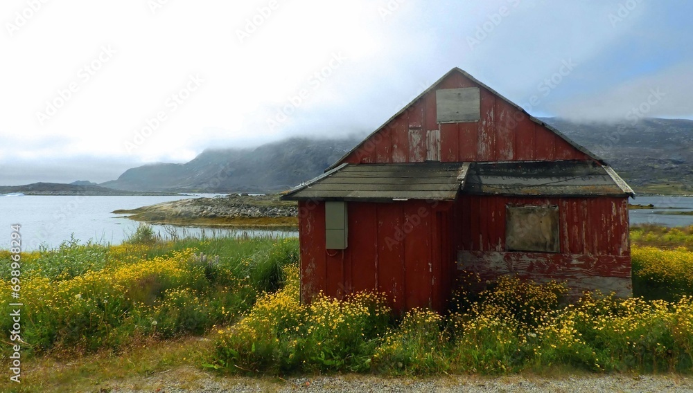 colorful red house and yellow arctic poppies on the rocky shore of the remote fishing village of nanortalik island in summer, in southern greenland colorful red house and yellow arctic poppies on the rocky shore of the remote fishing village of nanortalik island in summer, in southern greenland