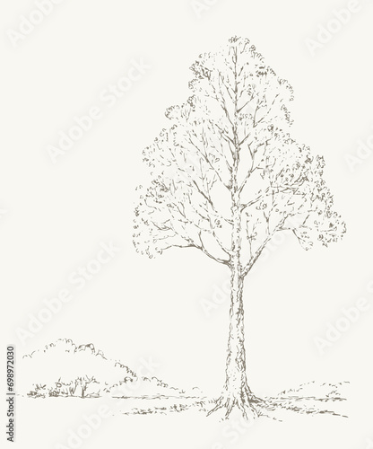 Big old tree in retro doodle style