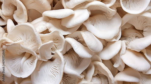Jamur tiram putih. White oyster mushrooms. Oyster mushroom is a food fungus. AI Generative