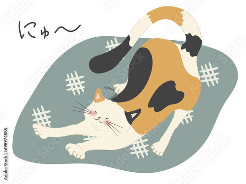 座布団の上で伸びをする三毛猫