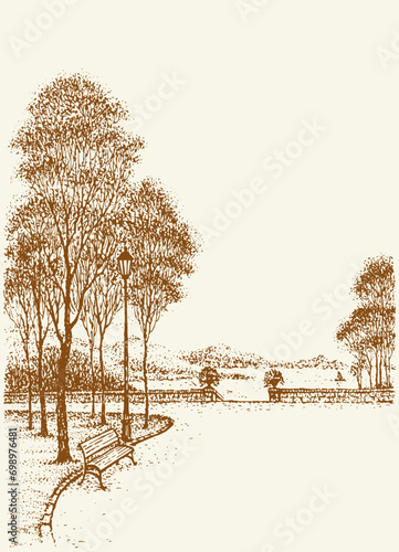 Park bench under the trees. Vector drawing