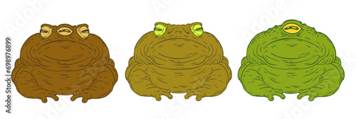 Set hand drawn color toads with one, two and three eyes isolated on white background. Cartoon vector illustration.