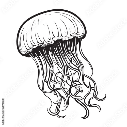 Jellyfish sketch hand drawn Vector Sea animals