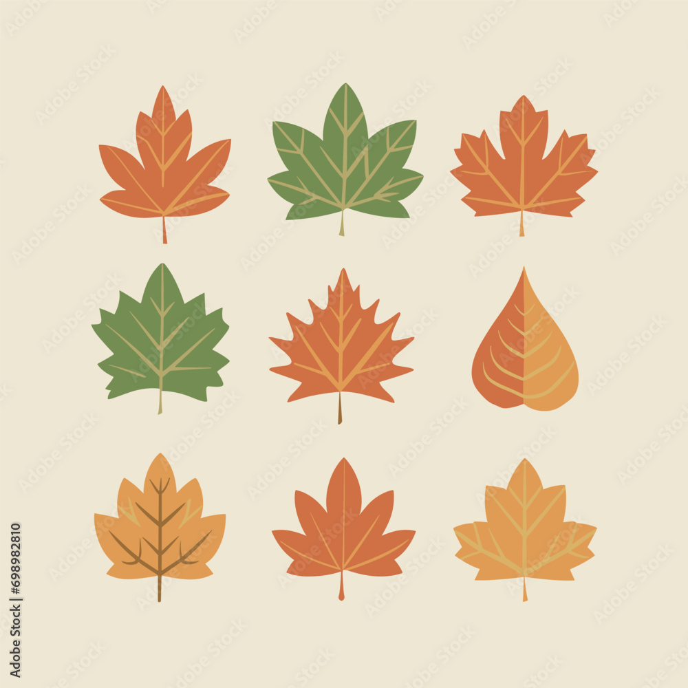 autumn leaves collection autumn leaves collection