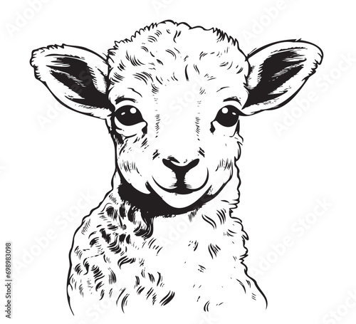Farm cute lamb hand drawn sketch Vector animals