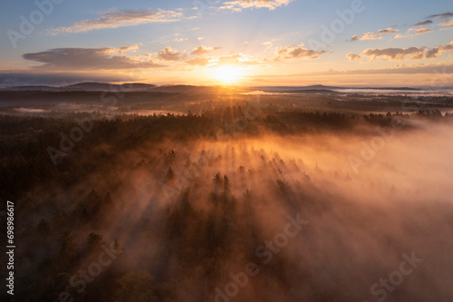 Germany, Bavaria,Aerial view of forest at foggy autumn sunrise