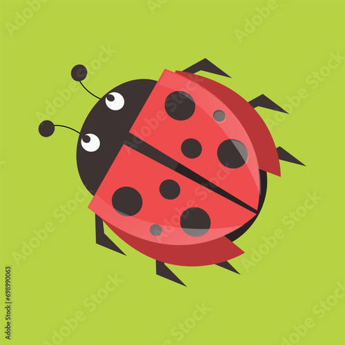illustration of ladybug on a green leaf