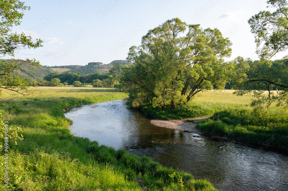 River landscape - A river  in a green landscape
