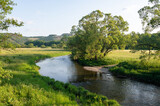 River landscape - A river  in a green landscape