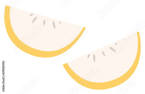 orange fruit vector illustration