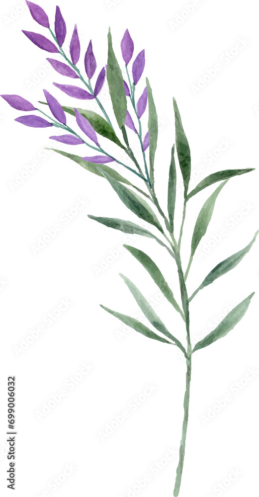 Obraz premium Watercolor purple flower