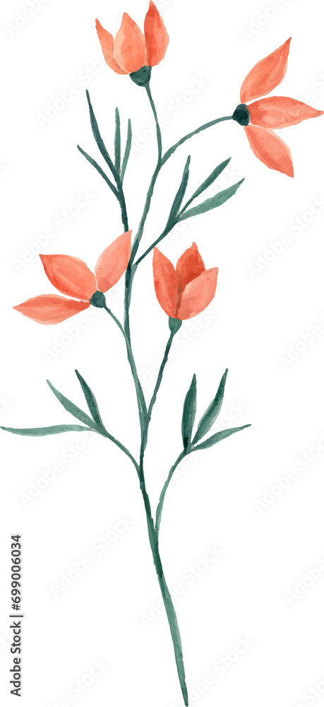Watercolor peach flower Watercolor peach flower