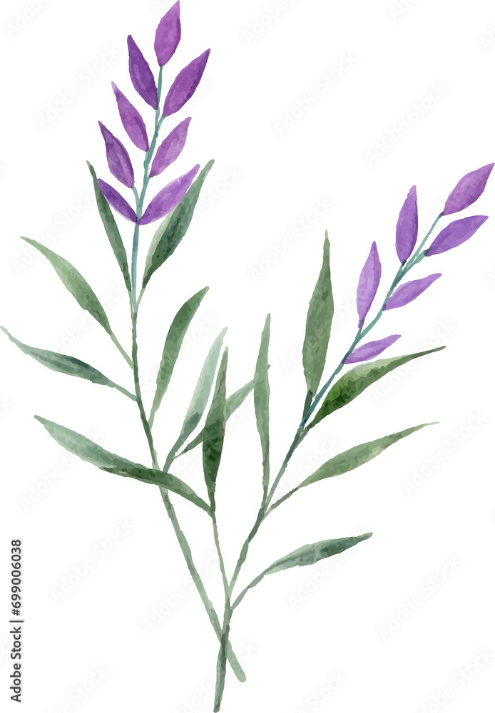 Fototapeta premium Watercolor purple flower