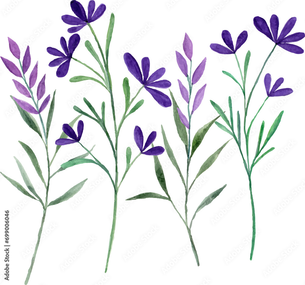 Watercolor purple flower Watercolor purple flower