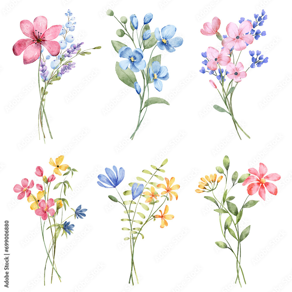 Wild flowers set, watercolor hand painting, digital floral illustration. Bouquets background.