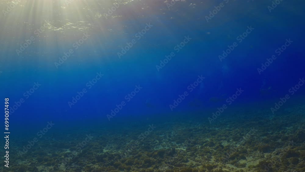 View of the surface, of the ocean light playing with the waves from the underwater diving point of view View of the surface, of the ocean light playing with the waves from the underwater diving point of view