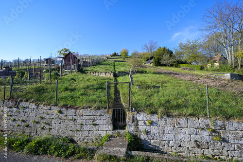 Gärten und Hütten am Lemberg in Stuttgart Feuerbach photo