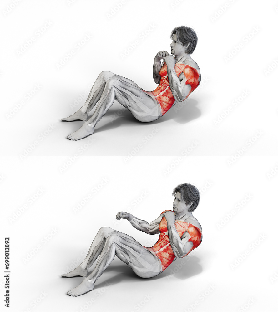 024 Seated Punches. 3D Anatomy of fitness and bodybuilding. An
