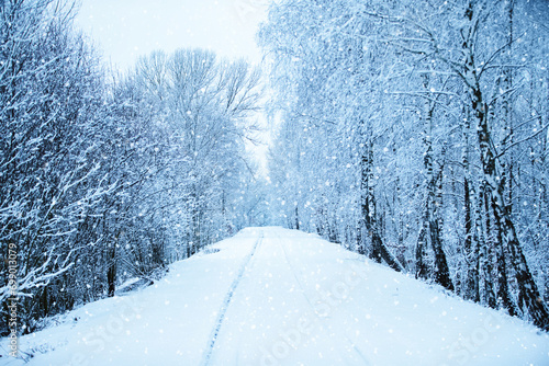 In blue tinting there is a winter forest with a snow-covered road. photo