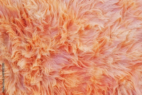 orange fur background texture © ประพันธ์ บุญเหมาะ