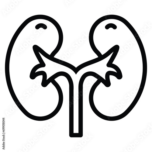  Master filters purifying blood, regulating fluid balance, and producing urine.