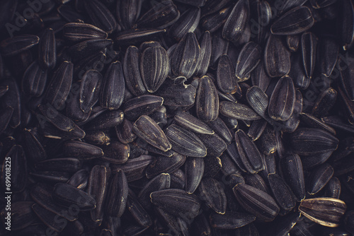 Sunflower grains for making oil, seeds for a healthy diet photo