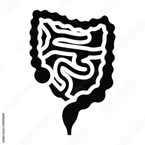  The winding pathway of digestion, absorbing nutrients from food.