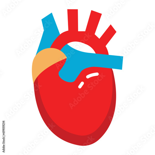  The rhythmic engine, tirelessly pumping life-sustaining blood.