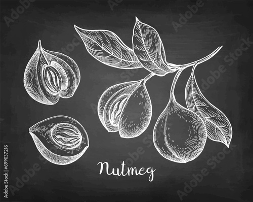 Nutmeg spice chalk sketch.