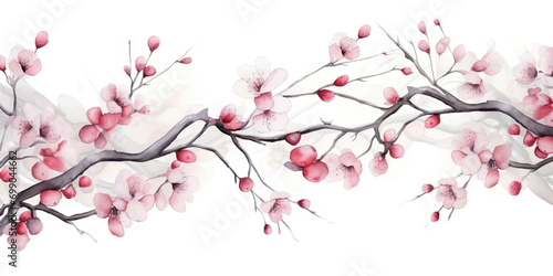 Ink painting cherry blossom in white background