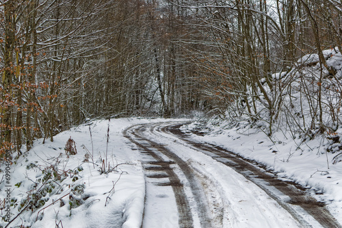 Obraz na płótnie Natural forest landscape covered with snow during cold winter day. w salonie
