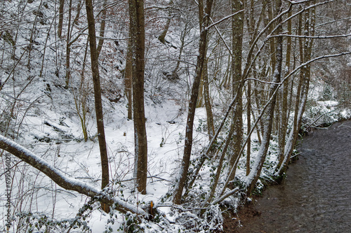 Obraz na płótnie Natural forest landscape covered with snow during cold winter day. w salonie