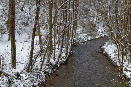 Obraz na płótnie Natural forest landscape covered with snow during cold winter day. w salonie