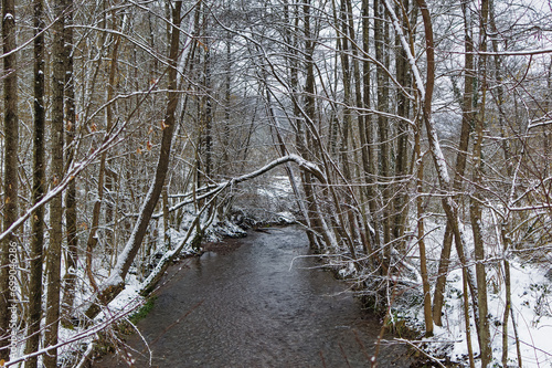 Natural forest landscape covered with snow during cold winter day.
