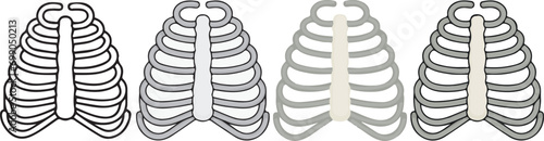 human anatomy. Ribs icon with 4 different styles.