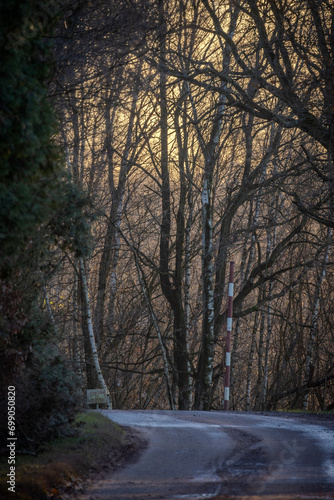 This atmospheric image captures a winding road disappearing into a forest with bare trees silhouetted against a fading sunset. The subdued light filters through the branches, creating a tapestry of © Bjorn B