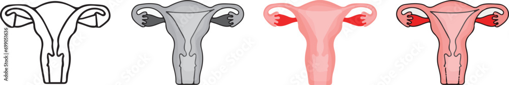 Obraz premium human anatomy. icon with 4 different styles.