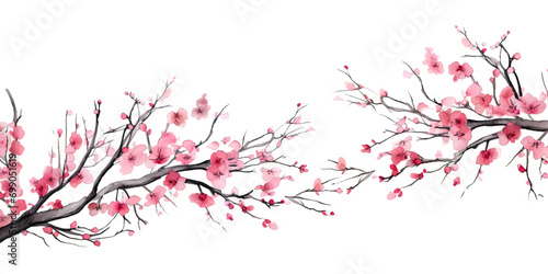Ink painting cherry blossom white background